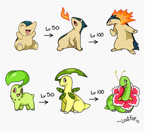 chikorita pokémon evolution|Chikorita (Pokémon) .